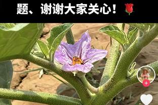 变阵大个阵容没防住啊！雷霆首节轰下39分 平赛季首节最高